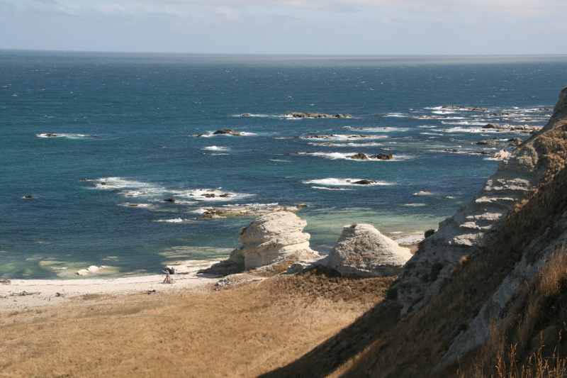 Nieuw-Zeeland 2011 - 1139